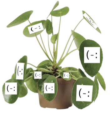 A house plant with small notes on it